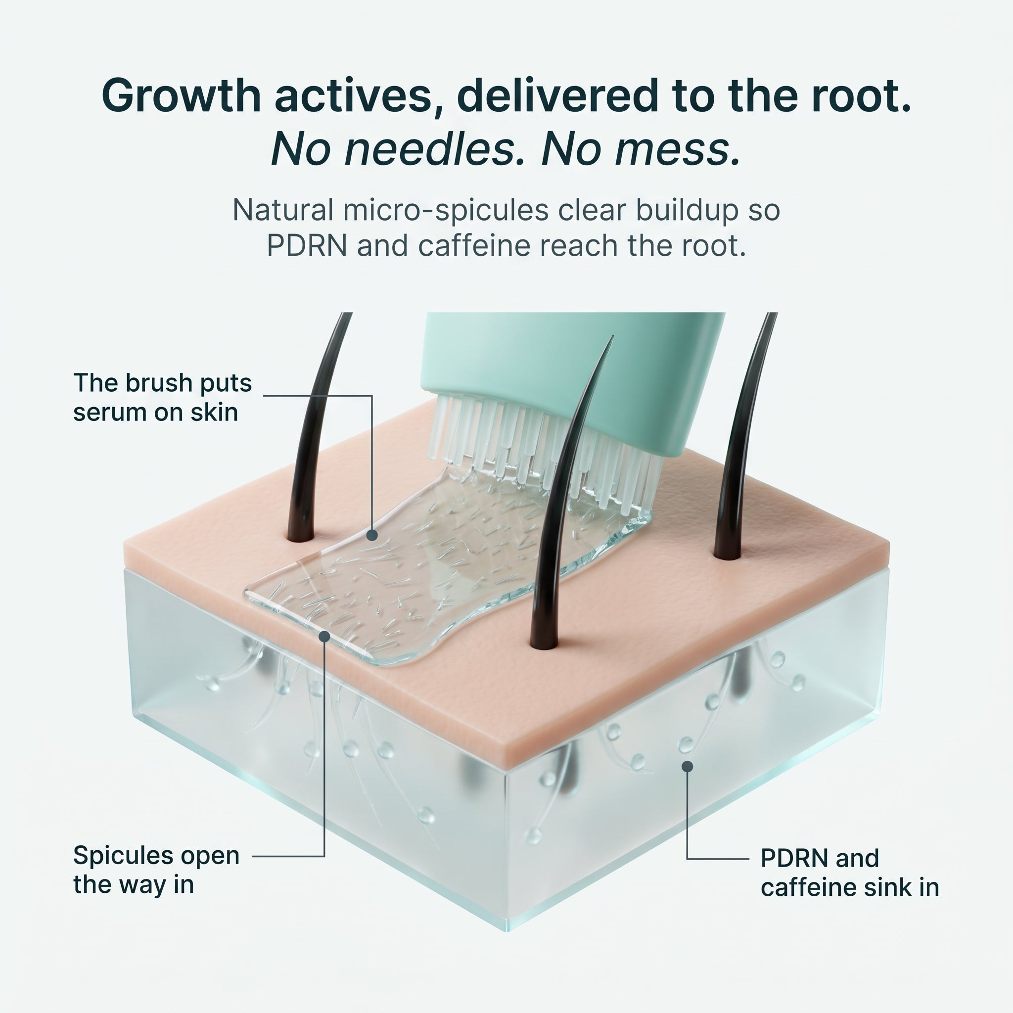 Korea's Viral Brush-On Scalp Serum (PDRN Onto Your Crown & Hairline in 30 Seconds, Not Into Your Hair)